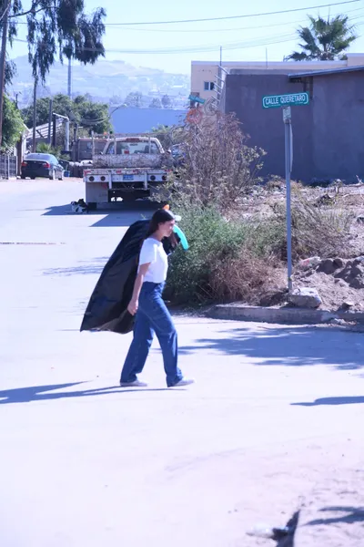 DSC_1904 (Large).JPG